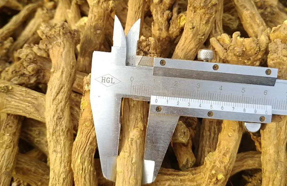 1547781502519726.jpeg a01中藥材2.jpg